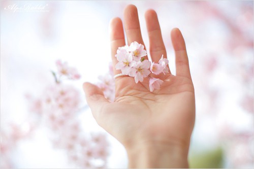 戒烟期间情绪低落，怎样快速调节情绪？