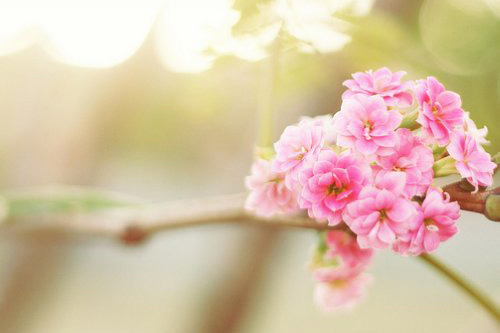 清远权威戒烟机构：科学戒烟方案推荐