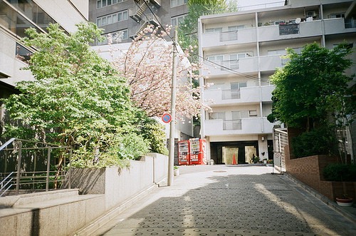 泉州戒烟成功案例分享