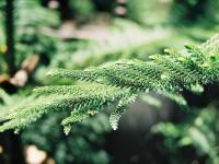 最有效的戒烟方法：让你轻松戒烟
